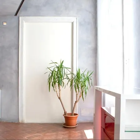 Domus Vivenda