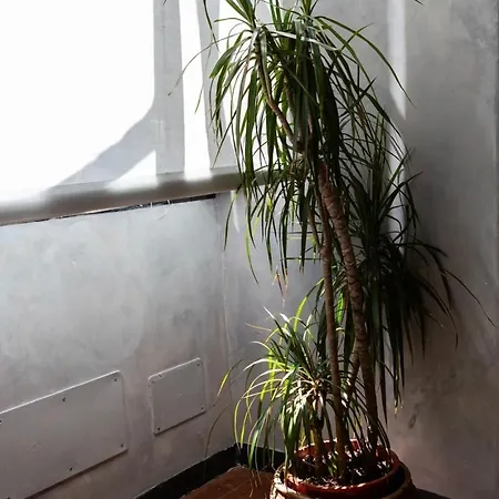 Apartment Domus Vivenda Genoa